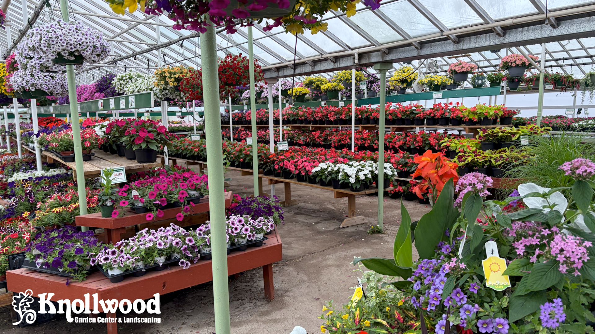 Interior of a greenhouse filled with colorful flowering plants, hanging baskets, and potted blooms arranged on display tables at a garden center.